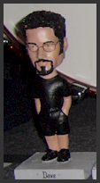 Dave's Bobble Head